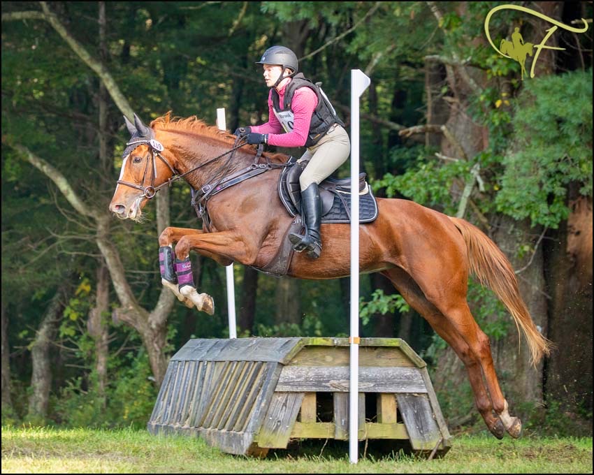 Gwendolyn Healy photo 6