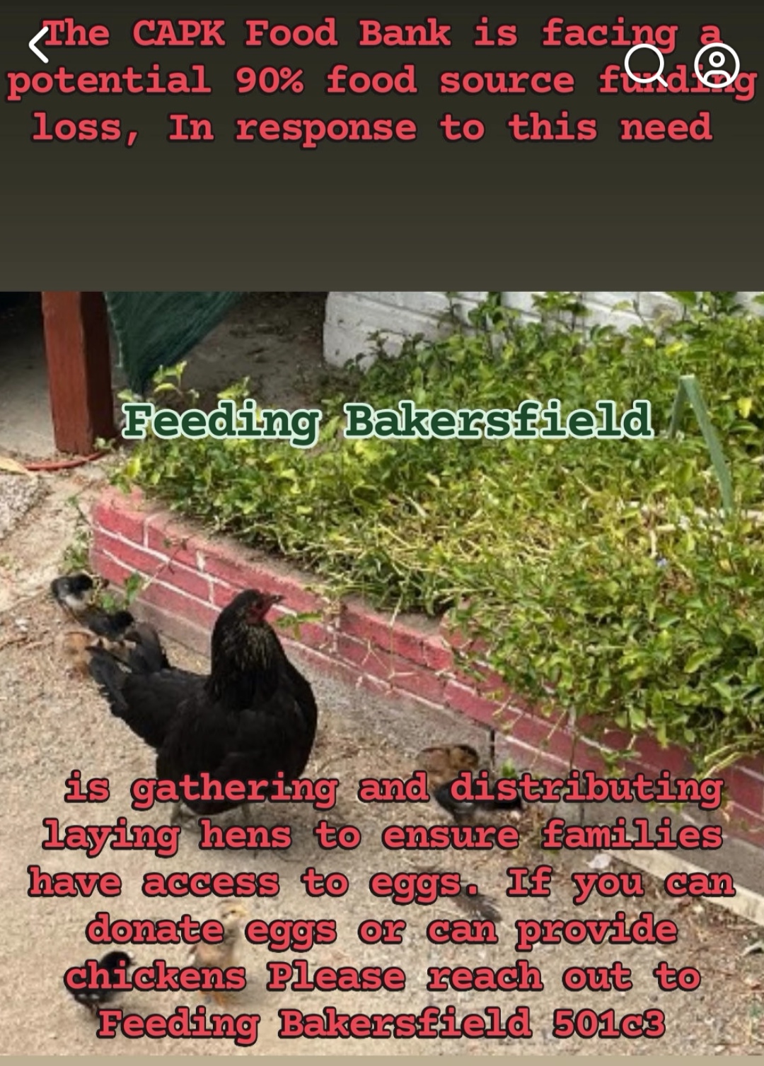 Feeding Bakersfield community photo 16