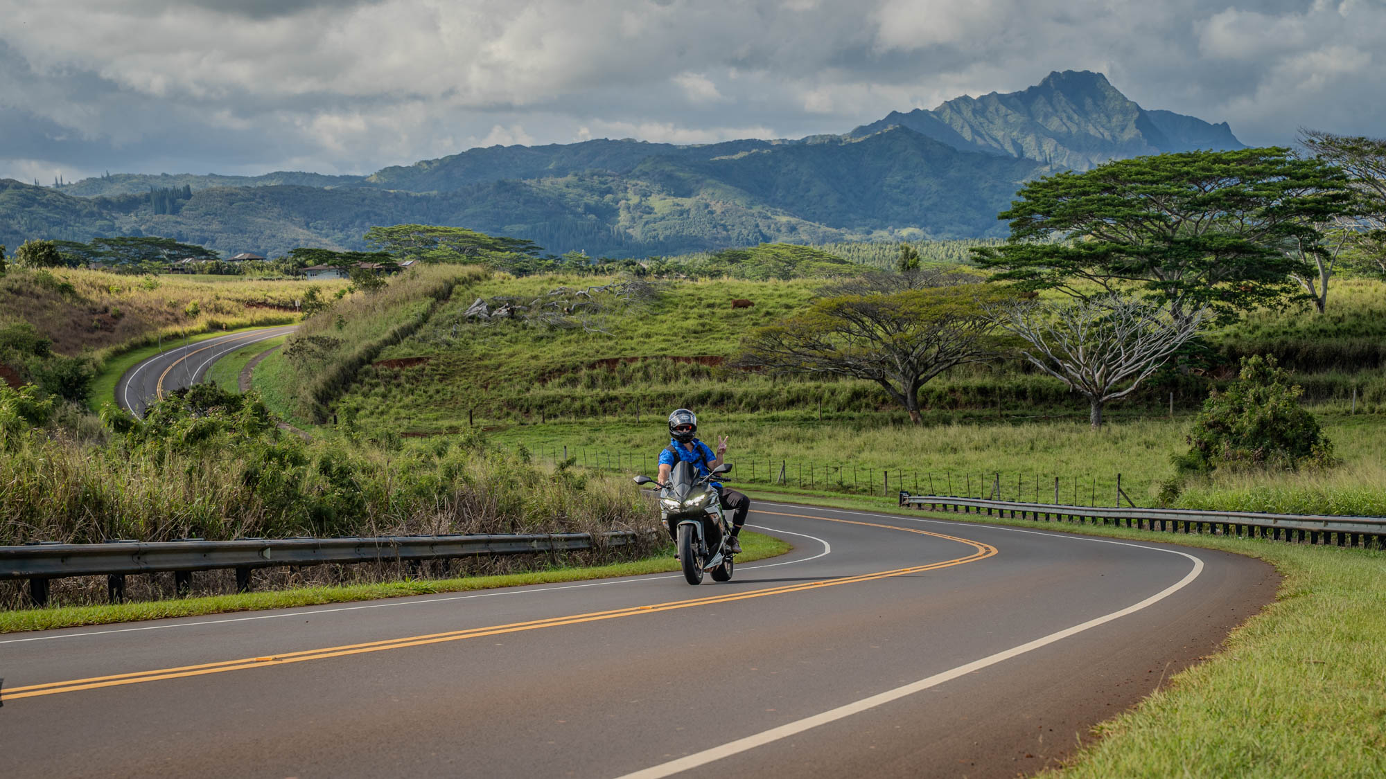 KAIMANA Creative portfolio 3