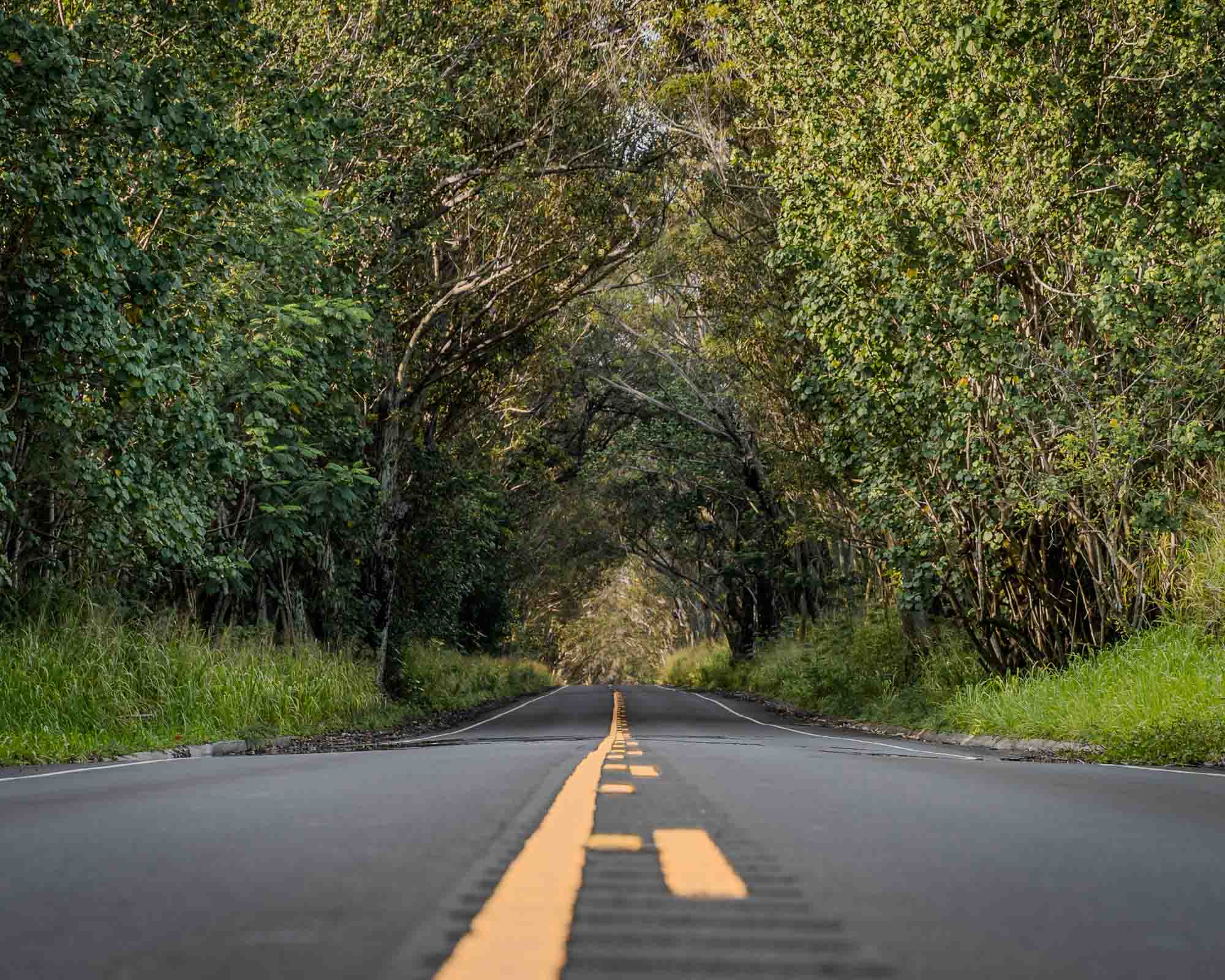 KAIMANA Creative portfolio 15