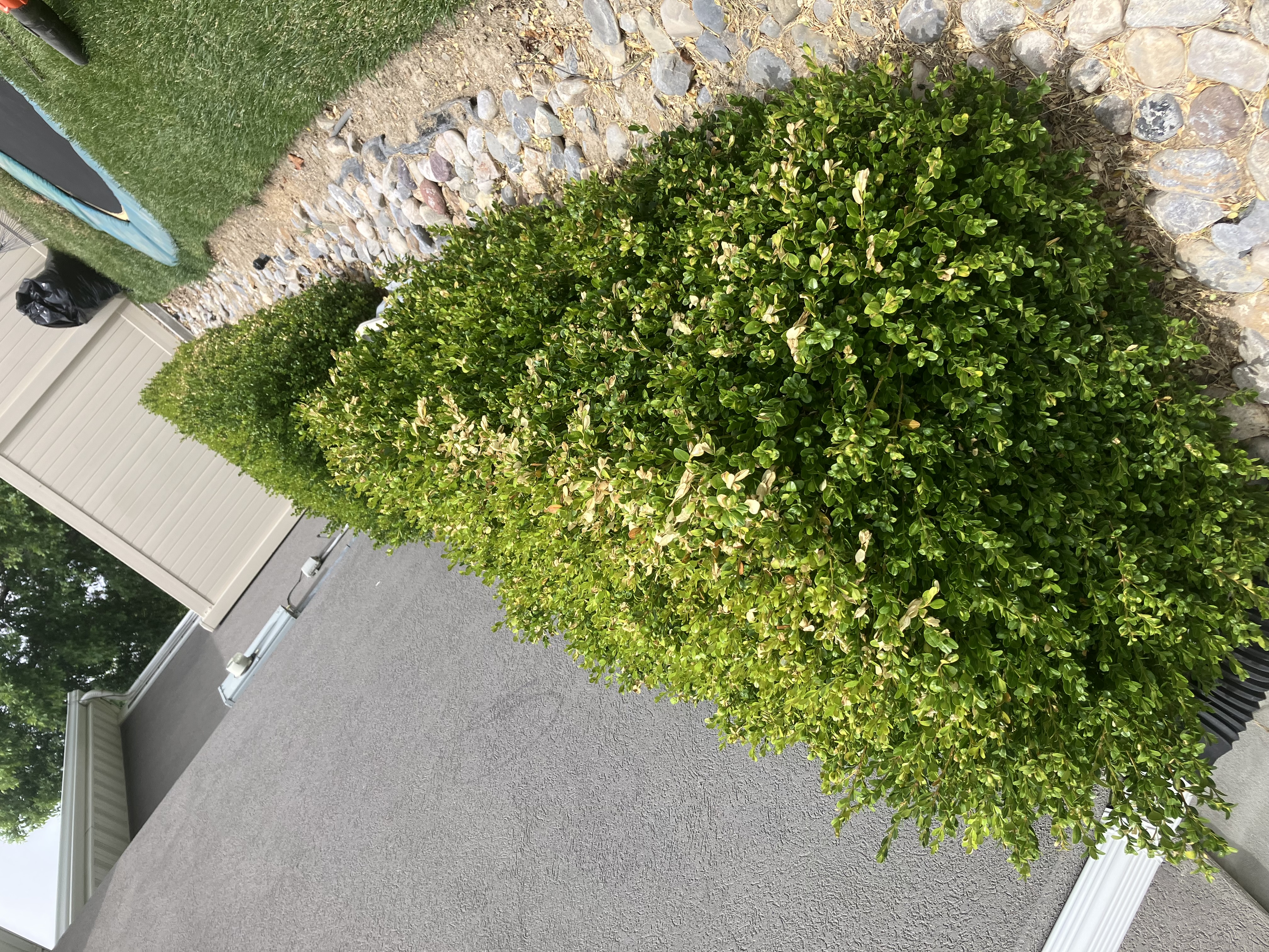 Green Tree Landscape project 9