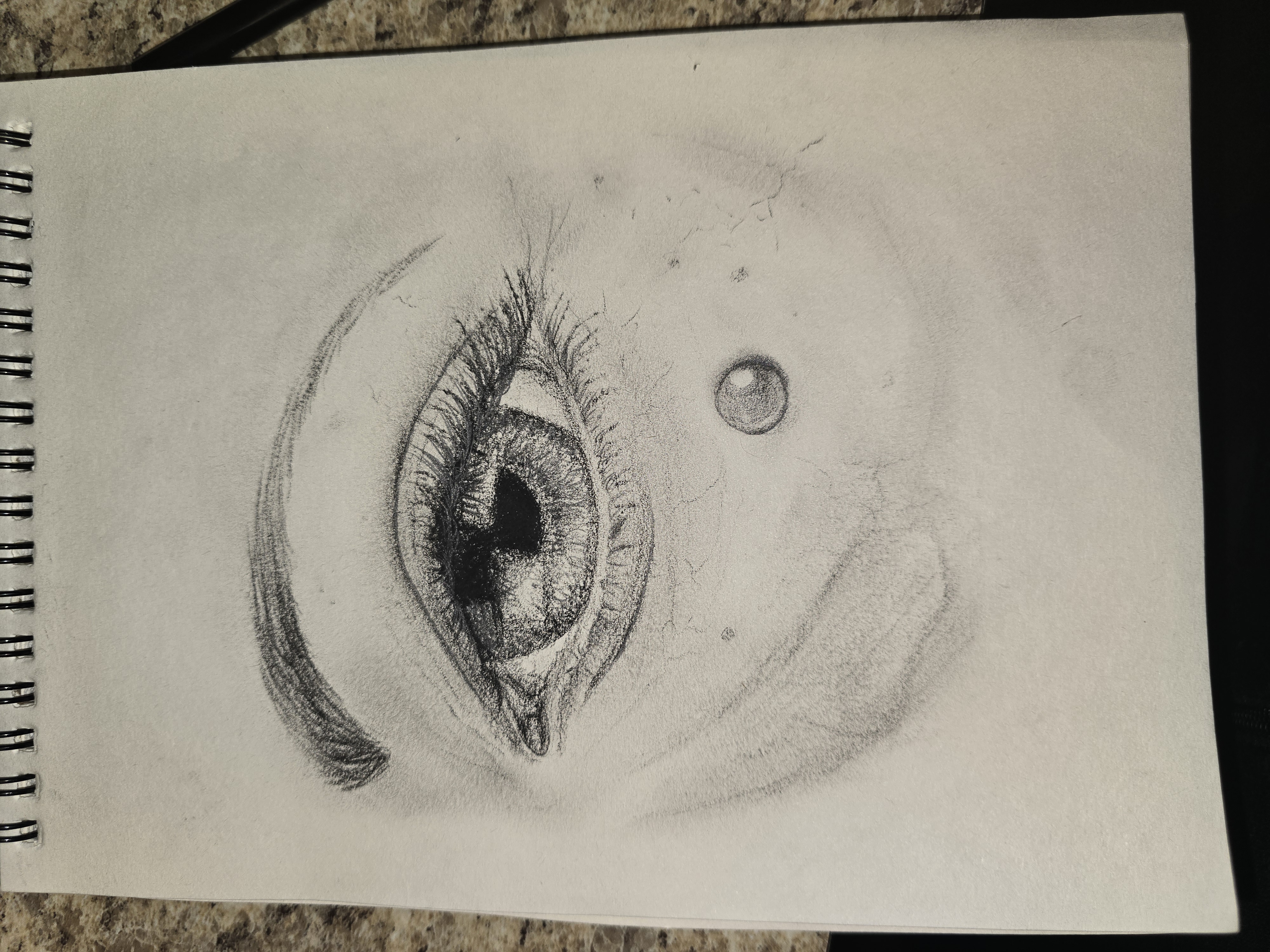 Artwork by KadaverZ_StudioZ — portfolio piece 17
