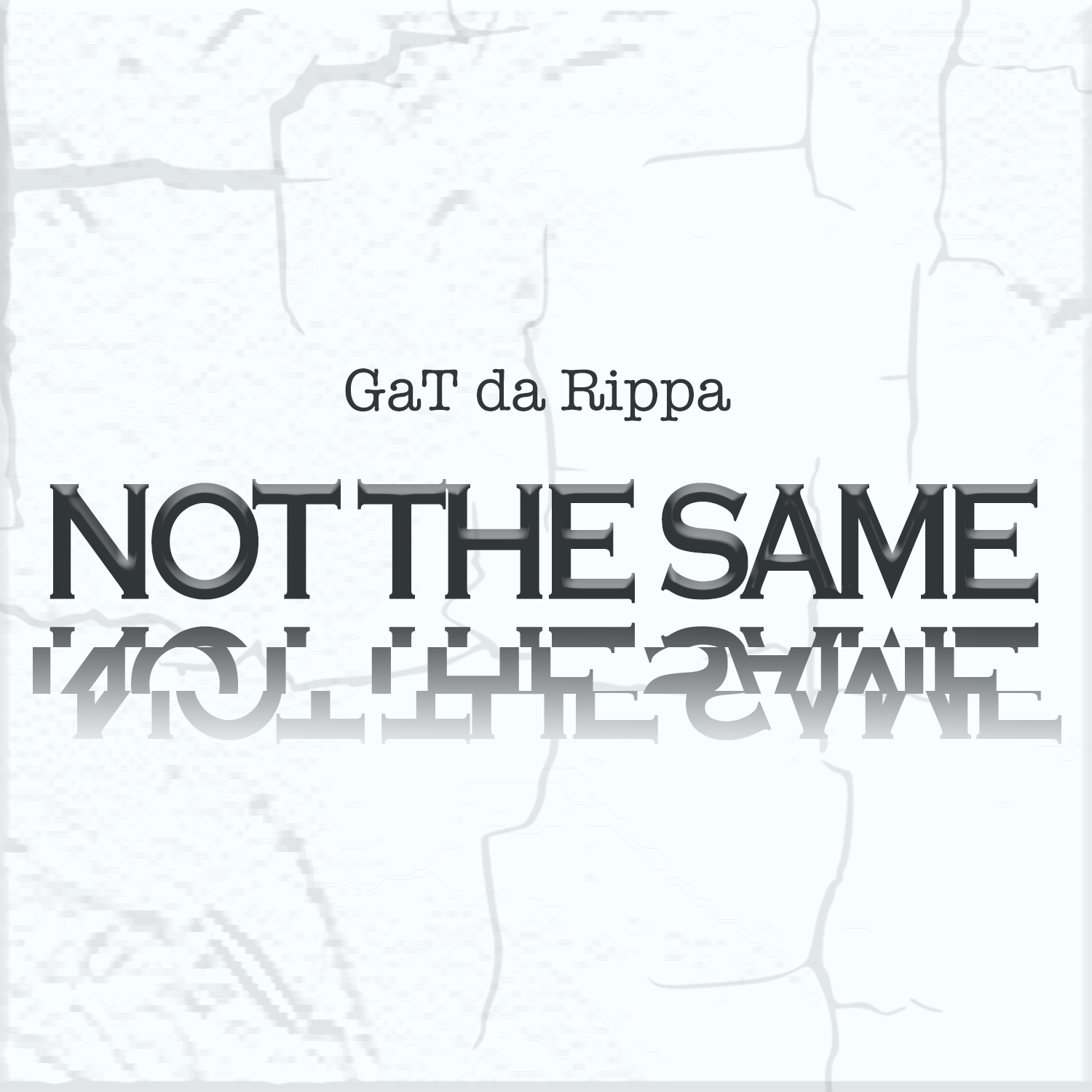 Album cover for Not The Same by GaT da Rippa, on a cracked white background
