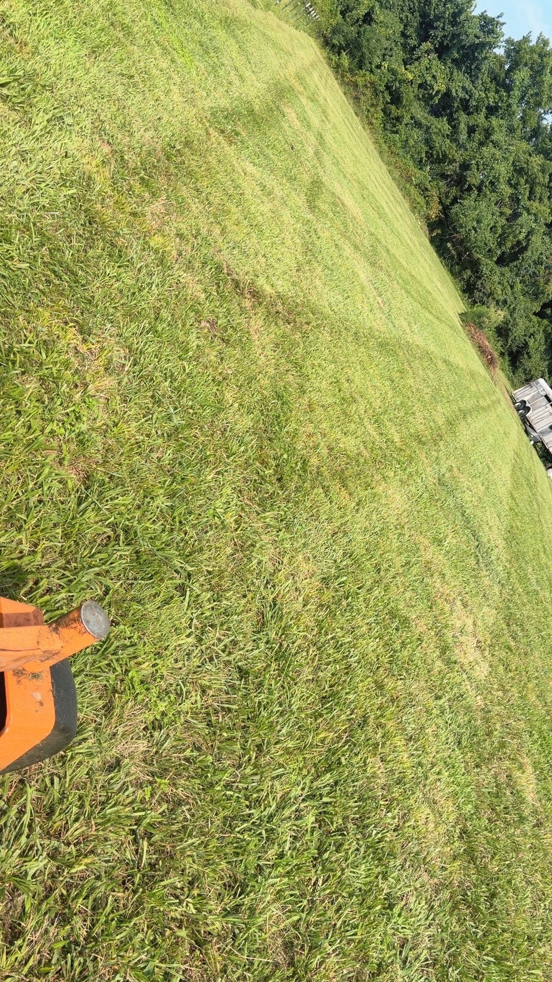 Freshly mowed and edged residential lawn maintained by EZ Lawncare