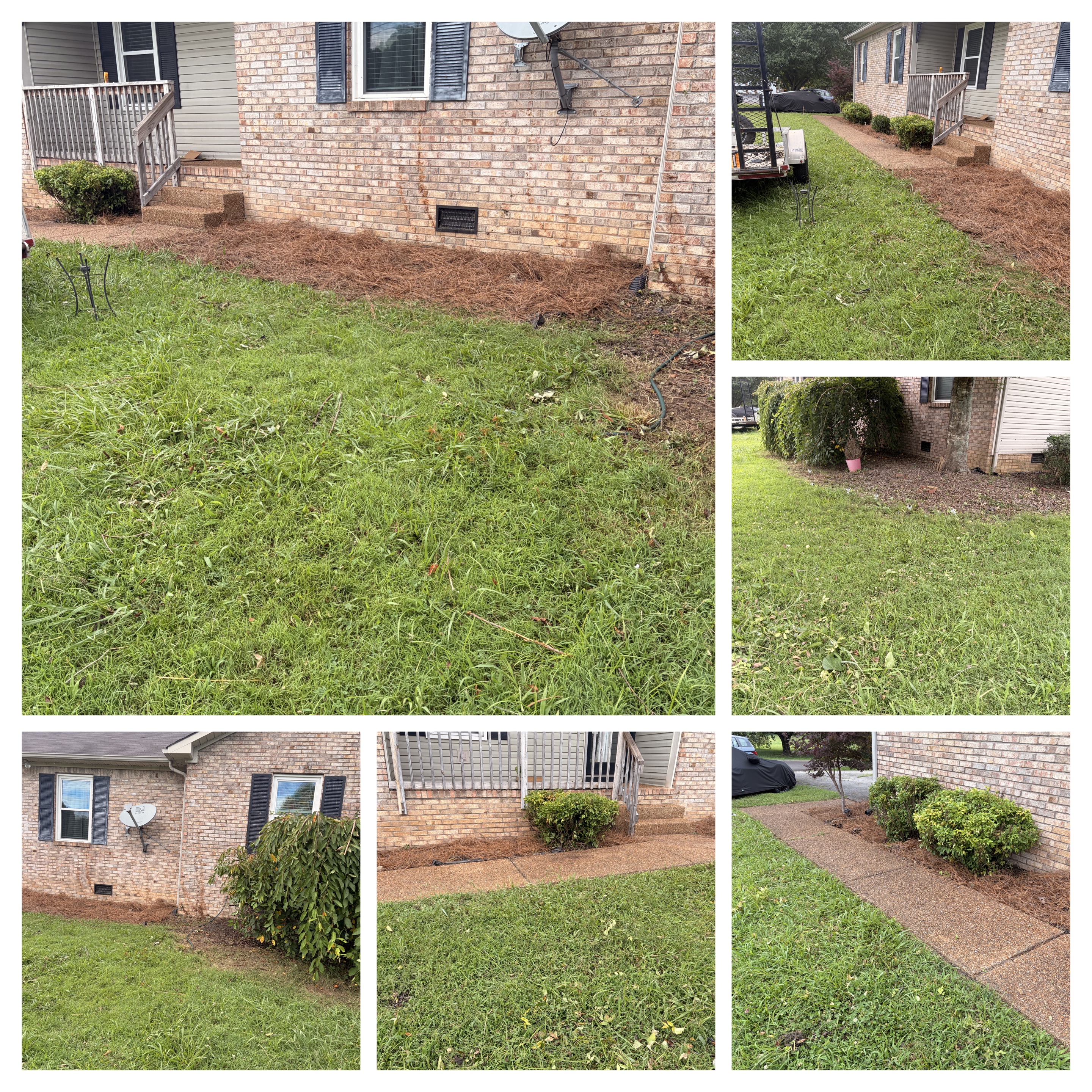 Trimmed property edges and healthy green turf in Middle Tennessee