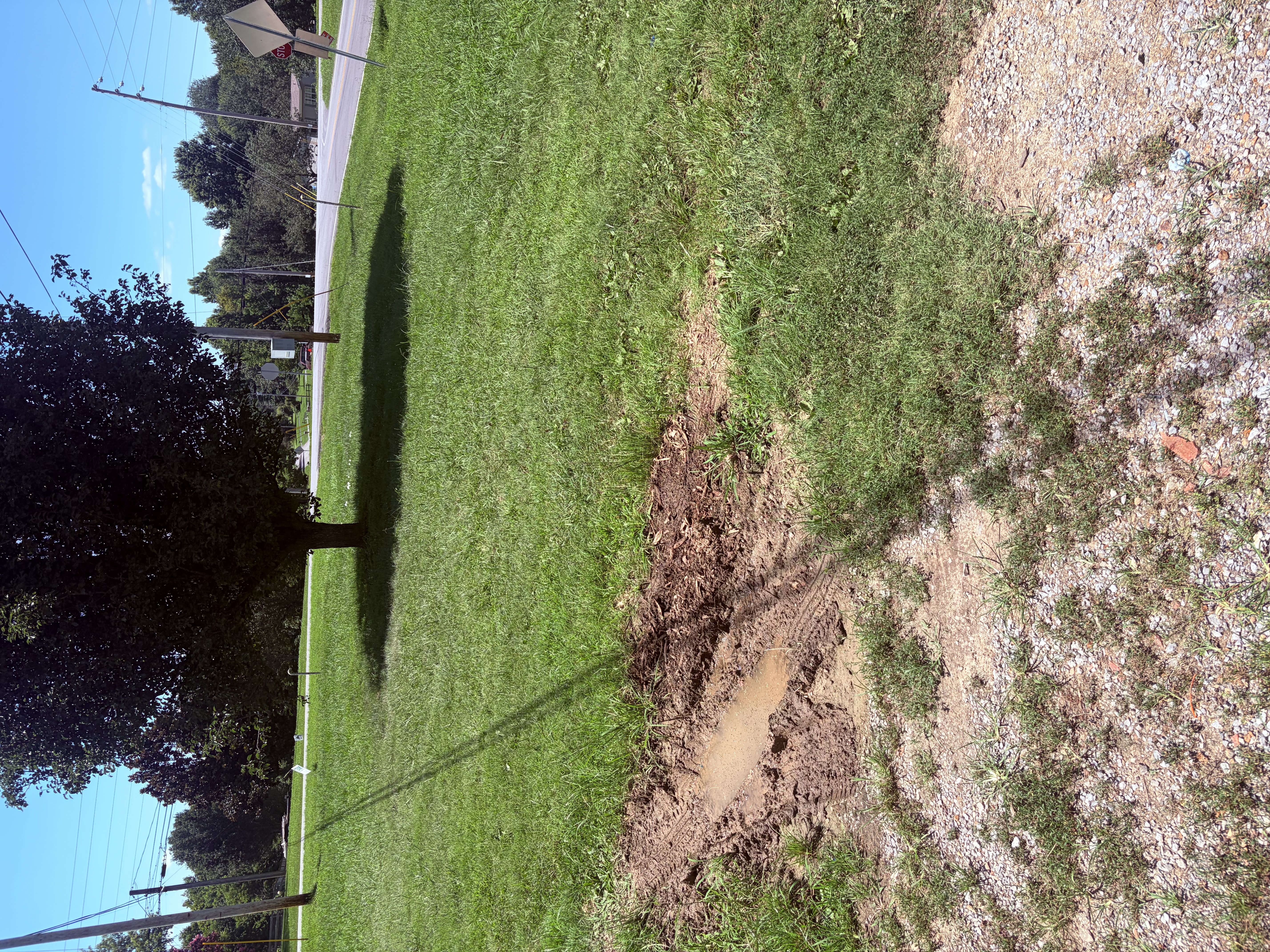 Detailed lawn care results with sharp edging and clean beds