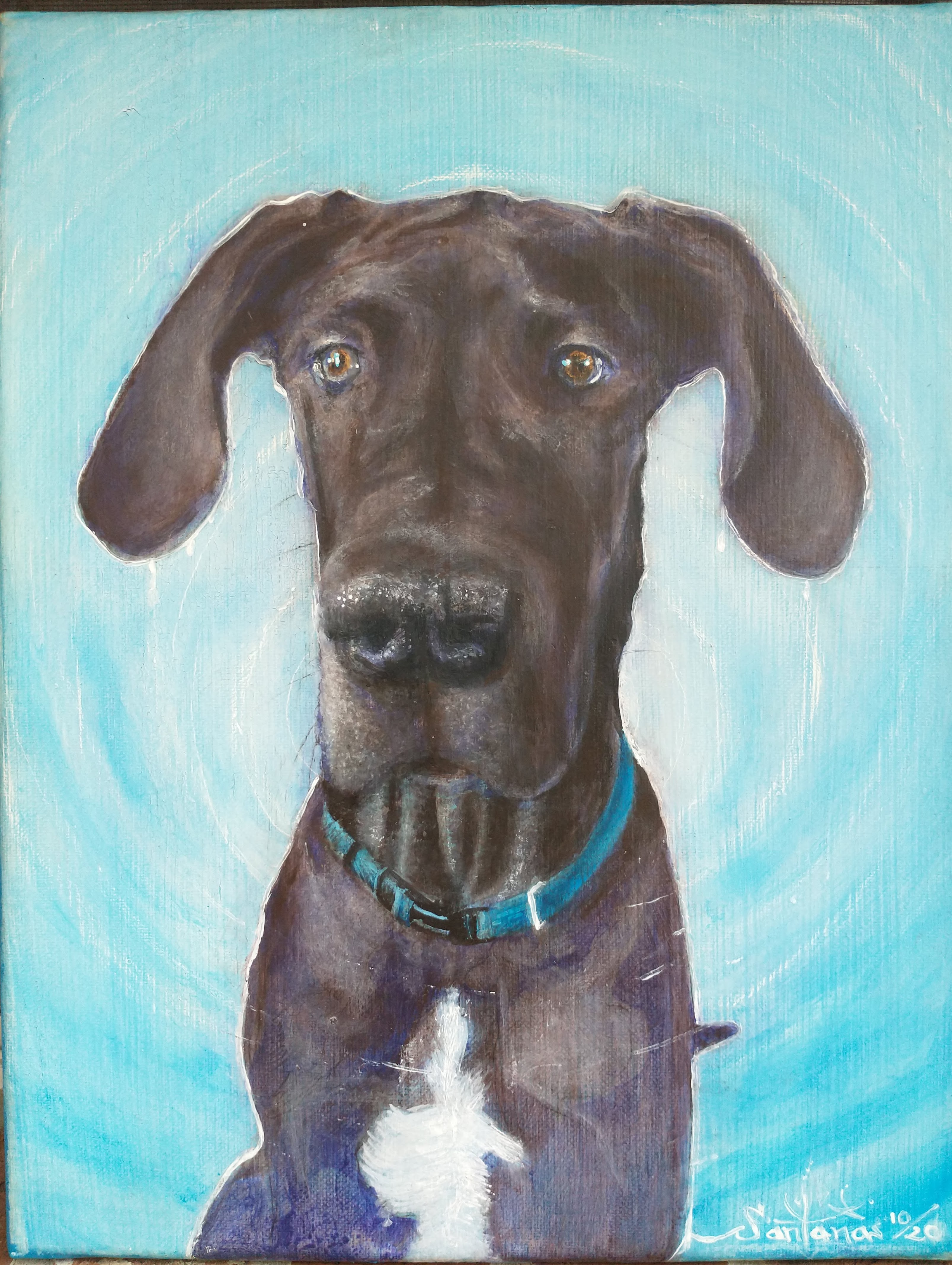 Custom Commission by Robert Santana