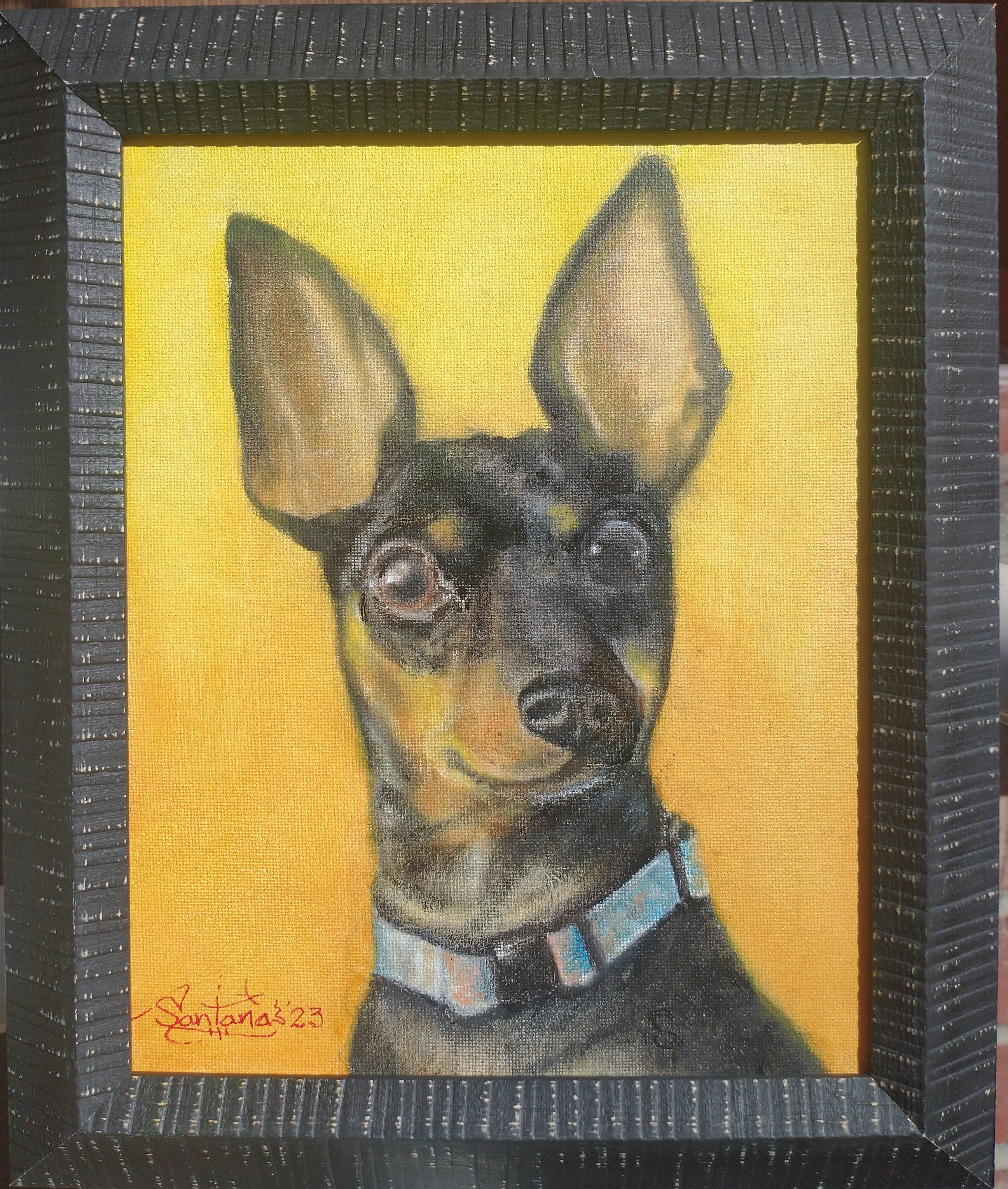 Pet Portrait by Robert Santana