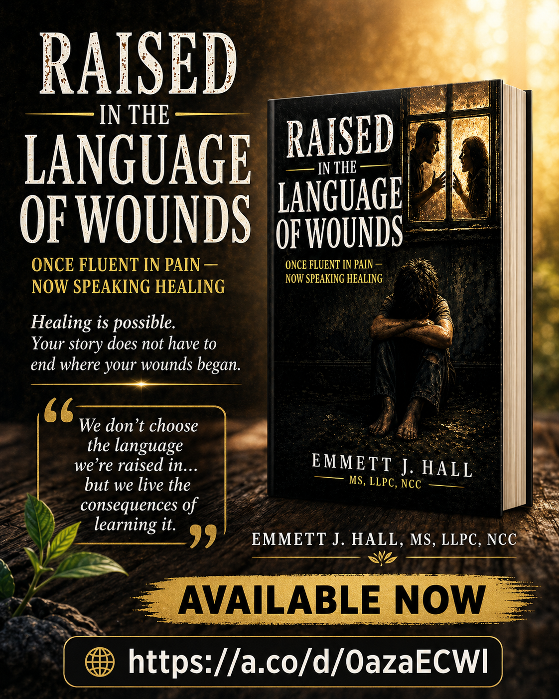 Book cover 2