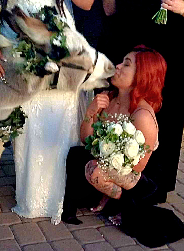Beverage burro moment 6