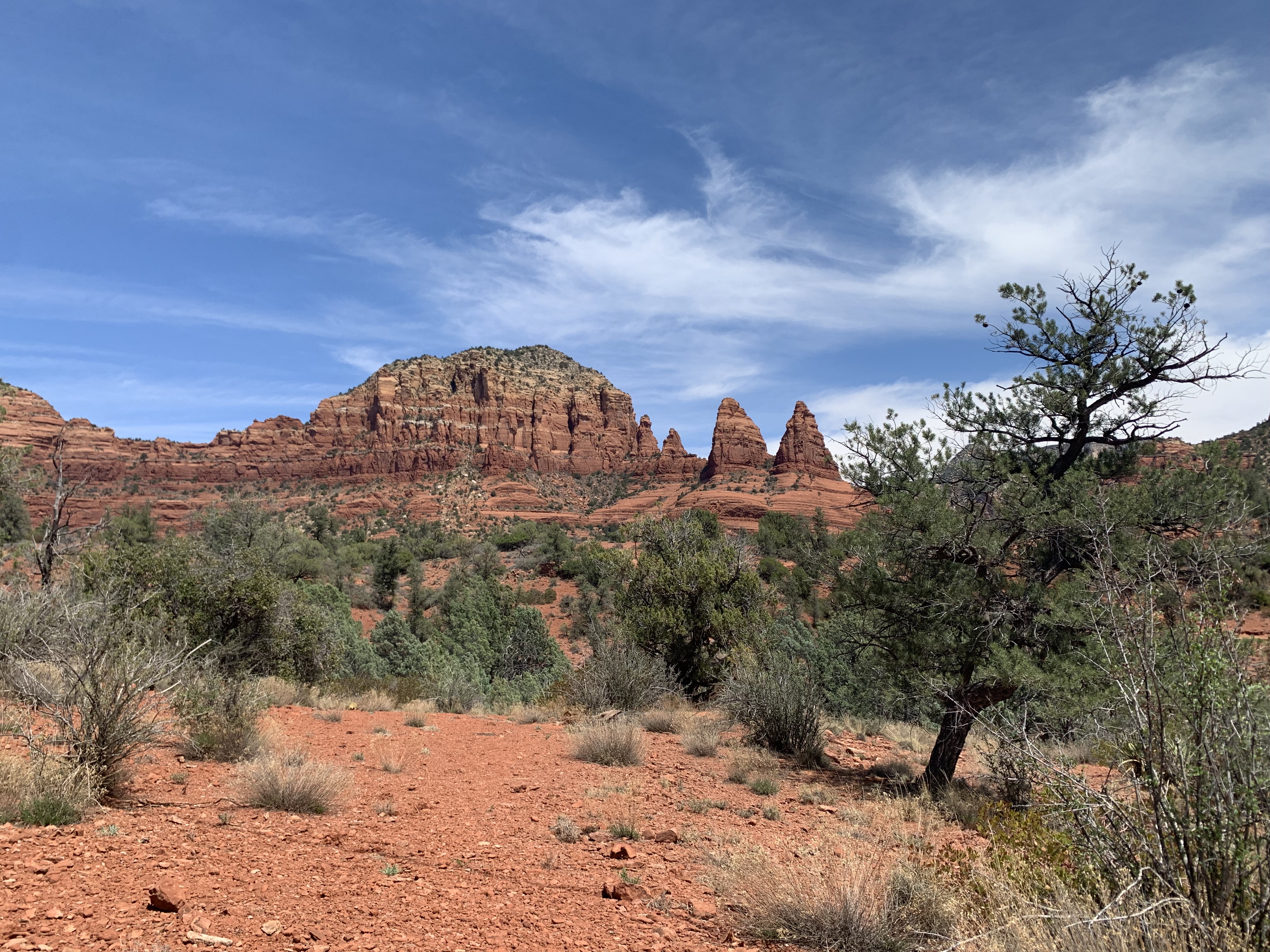 Gallery image 10