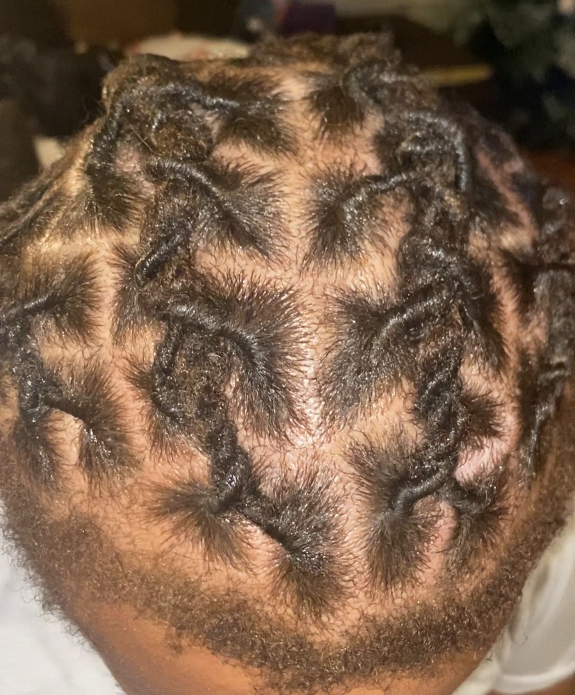 Sleek Protective Braids